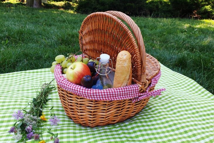 Piknik w Ostromecku