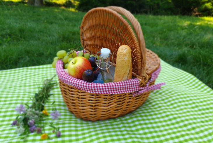Kosz piknikowy wypełniony smakołykami stoi na biało-zielonym kocu. W tle trawa.